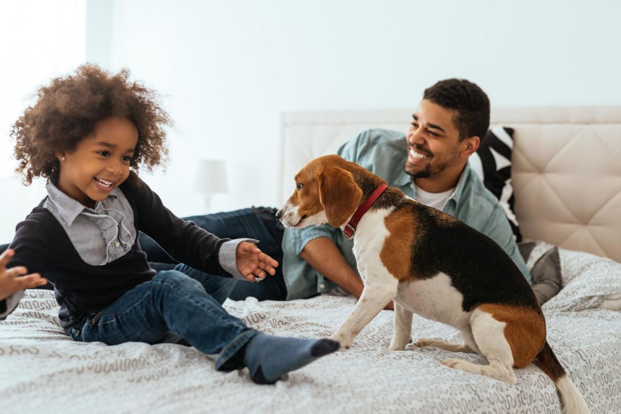 La Clef Champs-Elysees Paris By The Crest Collection Exterior photo A family with a dog